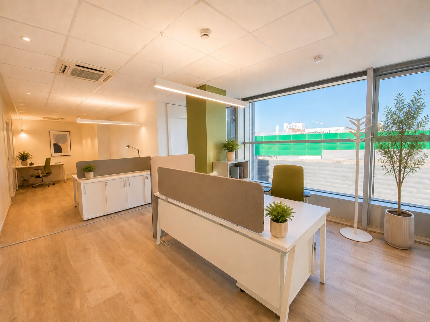 Open office with white desks, fabric desk screens and a column painted green beside the façade window